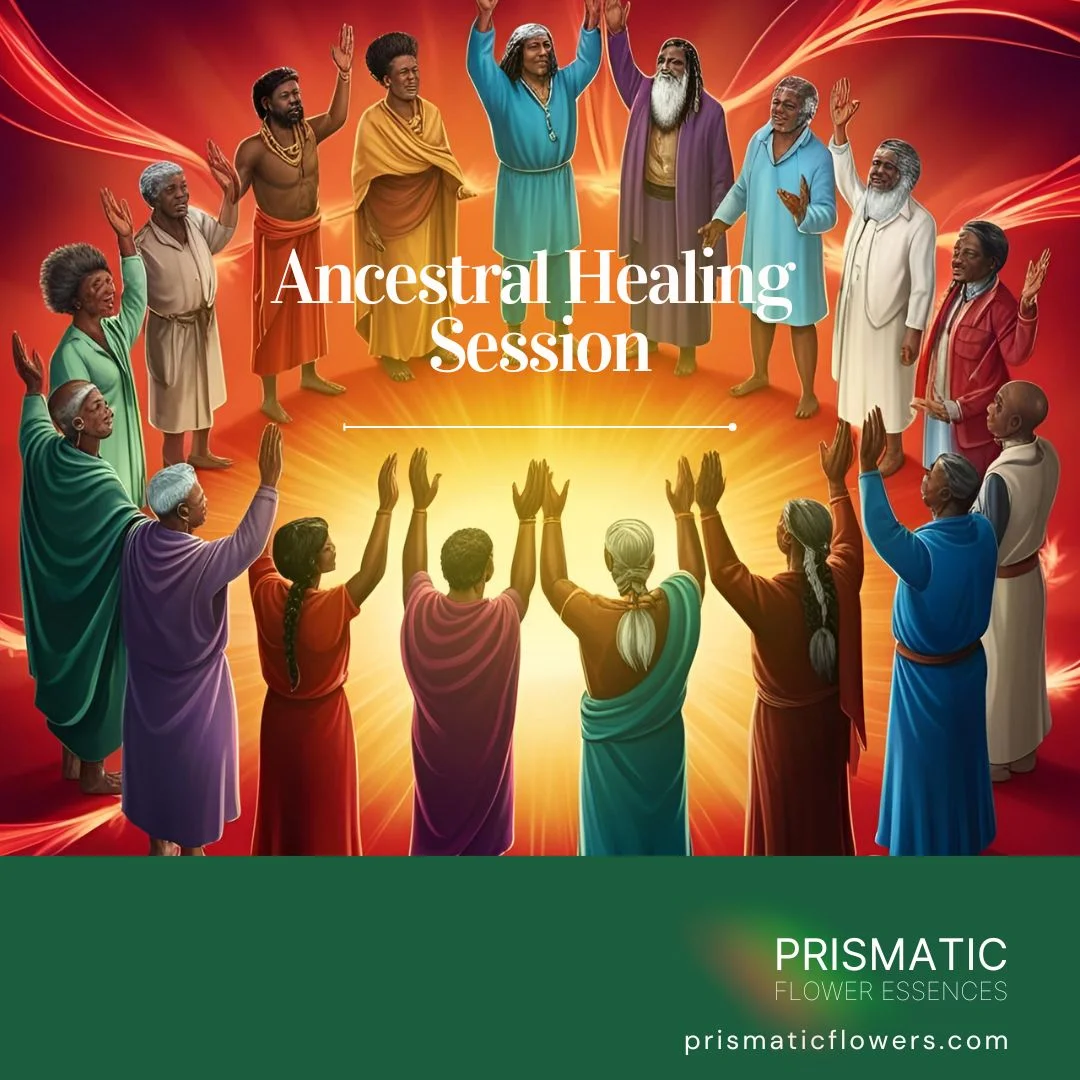 Ancestral Healing Session